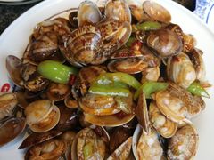 辣炒花蛤-渔民船说·北塘海鲜·天津菜·海肠捞饭(北塘古镇店)