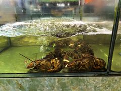 -聚鲜阁海鲜美食城(香水湾店)