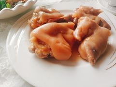 -丁老爷子苏香圆