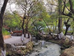 -黑龙潭公园