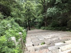 -终南山南五台景区