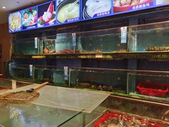 水产区-龙泉海鲜酒楼(龙昆南路店)