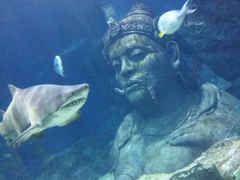 -暹罗海洋世界