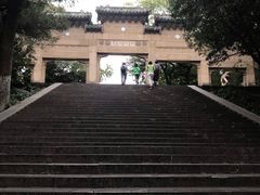 -灵谷景区