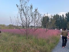 -汉长安城未央宫国家考古遗址公园