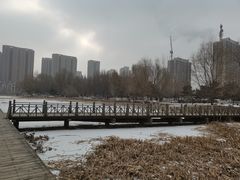 -长白岛森林公园