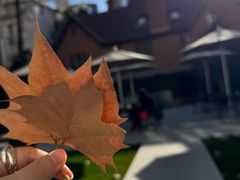 -一尺花园(安和花园店)