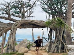 -海南分界洲岛旅游区