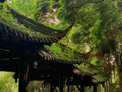 -青城山