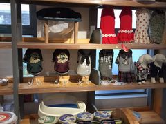 -奈斯宠物医院·核磁CT·异宠专科·内镜(中南店)