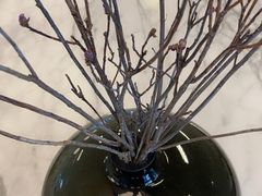 -Bracket Coffee(银河SOHO店)