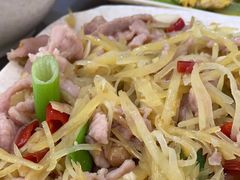 -铁山坪森林公园