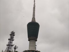 -梧桐山风景名胜区