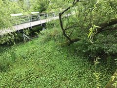 -西湖风景区-江洋畈生态公园