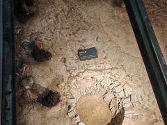 -南越王博物院(王宫展区)