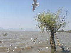 -捞渔河湿地公园