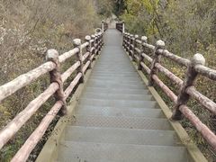 -北京凤凰岭