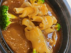 -寻味顺德·顺峰山庄(大良店)