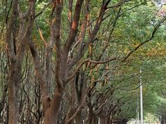 -东怡大酒店(上海科技馆店)