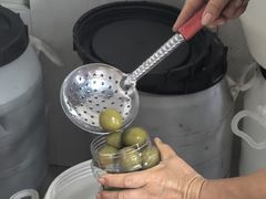 -苏州市吴中区光福窑上花果蜜饯厂