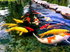 -瑞博尔花园酒店(太周创新产业园店)