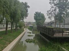 -Tian品