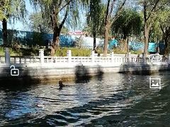 -皇家御河游(紫御湾码头)