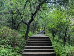 -帽儿山国家森林公园