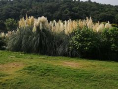 -襄阳烈士陵园(襄城区)
