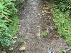 -福清灵石山国家森林公园