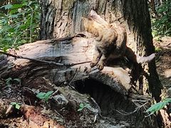 -终南山南五台景区