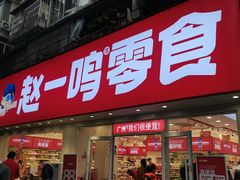 -赵一鸣零食(广州荔湾路店)