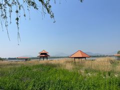 -青龙湖公园