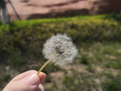 -西海岸生态观光园