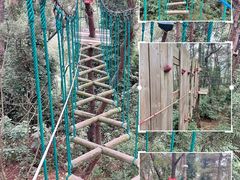 -芦仙山景区-飞越丛林探险乐园