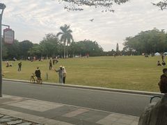 -东莞植物园