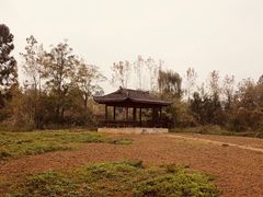 -白鹭湾湿地公园