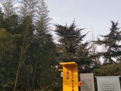 -西苑公园