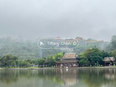 -顺峰山公园