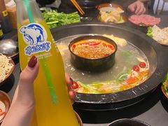 -老酉火锅(阳明古镇店)