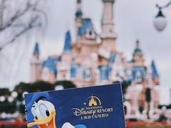 -上海迪士尼度假区