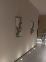 -恒美雅轩·品牌直营连锁