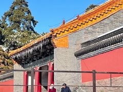 -北陵公园