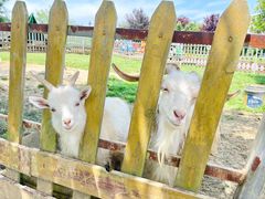 -云漫湖生态度假公园