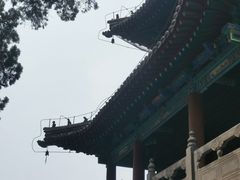 -关林