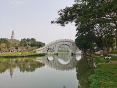 -顺峰山公园