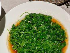 -权茂上海菜(殷行路店)