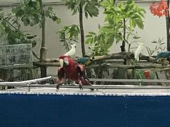 -哈尔滨北方森林动物园