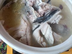 -马帮菜馆·美味野生菌