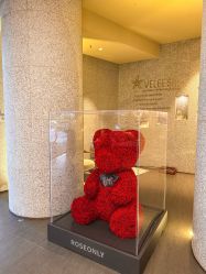 -VELEE·SPA高定疗愈会所